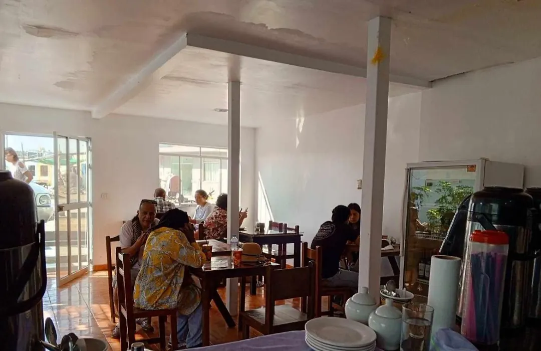 Hostel Willys House-1